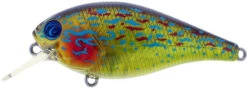 River2Sea Biggie Smalls Bumpin' Rattle Fast Squarebill 28 River2Sea Biggie Smalls Bumpin' Rattle Fast Squarebill -Fishing Sports Shop Biggie10RealSunfish 323bf9b2 b316 48f7 bc1a 4ce7414152c7