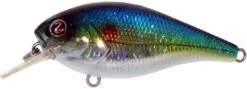 River2Sea Biggie Smalls Bumpin' Rattle Fast Squarebill 24 River2Sea Biggie Smalls Bumpin' Rattle Fast Squarebill -Fishing Sports Shop Biggie39HorizonShad a5616ec2 bb4e 4cbf b963 b1daefe5899e