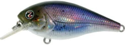 River2Sea Biggie Smalls Bumpin' Rattle Fast Squarebill 23 River2Sea Biggie Smalls Bumpin' Rattle Fast Squarebill -Fishing Sports Shop Biggie41HickoryShad 9b540c1f fafb 40af 8151 40e24835f059