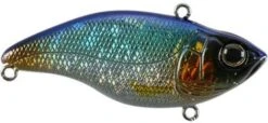 SPRO Aruku Shad 75 Lipless Crankbait 24 SPRO Aruku Shad 75 Lipless Crankbait -Fishing Sports Shop Blue Shiner 8149b4b9 2064 4f5f a3af 52905dcb7cff