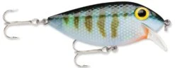 Storm Original Thinfin 06 Shallow-Medium Diving Crankbait -Fishing Sports Shop Bluegill 979add9f 4cd5 4303 a1d8 e019b6c4da9e