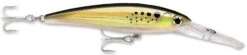 Rapala X-Rap Magnum 10 Big Game Slash Bait 25 Rapala X-Rap Magnum 10 Big Game Slash Bait -Fishing Sports Shop Bunker 1bf61b5b e2d9 414d 8963 53454fd47462