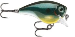 Rapala BX Brat 03 Square Bill Crankbait 22 Rapala BX Brat 03 Square Bill Crankbait -Fishing Sports Shop Carbon 0465b57c 0f8f 4010 b501 ef341a28210f