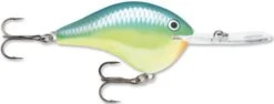 Rapala DT Series Crankbait DT Metal 20 -Fishing Sports Shop Carribean Shad 976175bd 013c 4951 be31 93e8e1c52f8c