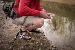 Temple Fork Outfitters Trout-Panfish Spinning Rods -Fishing Sports Shop DSC04055 IG