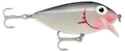 Storm Original Thinfin 06 Shallow-Medium Diving Crankbait -Fishing Sports Shop Dracula 5e21a2ad 5d67 4142 8ab7 b3148d39db31