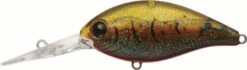 Evergreen International CR-10 Deep Diving Crankbait -Fishing Sports Shop EVG CR 10 216 Olive Crawdad