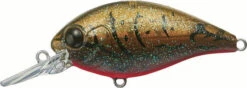 Evergreen International CR-6 Medium Diving Crankbait -Fishing Sports Shop EVG CR 6 216 Olive Crawdad