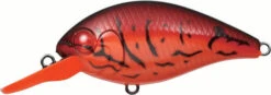 Evergreen International CR-6 Medium Diving Crankbait -Fishing Sports Shop EVG CR 6 64 Fire Craw