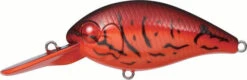 Evergreen International CR-8 Medium Diving Crankbait -Fishing Sports Shop EVG CR 8 64 Fire Craw