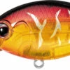 Evergreen International CR-6 Medium Diving Crankbait -Fishing Sports Shop Evergreen CR 019