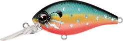 Evergreen International CR-6 Medium Diving Crankbait -Fishing Sports Shop Evergreen CR 214