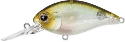 Evergreen International CR-10 Deep Diving Crankbait -Fishing Sports Shop Evergreen CR 420 5203f195 bbca 4378 b397 b08b3a4195de