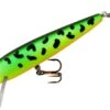 Rebel Value Minnow Shallow Jerkbait Hard Minnow -Fishing Sports Shop F5056V
