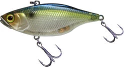 Jackall TN 60/70 Disc Knocker Lipless Crankbait 17 Jackall TN 60/70 Disc Knocker Lipless Crankbait -Fishing Sports Shop FishJackall TN Disk Knocker SG THREADFIN SHAD primary