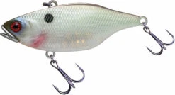 Jackall TN 60/70 Disc Knocker Lipless Crankbait 21 Jackall TN 60/70 Disc Knocker Lipless Crankbait -Fishing Sports Shop FishJackall TN Disk Knocker TO MUDDY SHAD primary