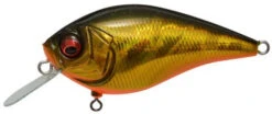 Megabass Knuckle LD Silent Crankbait 2 1/3 Inches 30 Megabass Knuckle LD Silent Crankbait 2 1/3 Inches -Fishing Sports Shop GG Megabass Kinkuro 87c3d9ee 4b25 4f31 813a a77e3bb707fe