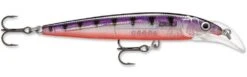 Rapala Scatter Rap Deep Husky Jerk -Fishing Sports Shop Glass Purple Perch bfb1f09f 8c38 4f9c 83cc a54c6b7bc7b8