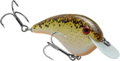 Strike King Chick Magnet Flat Sided Crankbait -Fishing Sports Shop HCCM 563