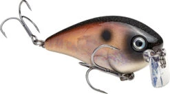 Strike King KVD 2.5 Wake Bait Waking Crankbait -Fishing Sports Shop HCKVD2.5W 294