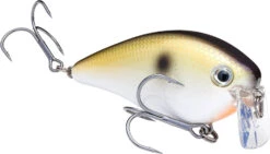 Strike King KVD 2.5 Wake Bait Waking Crankbait -Fishing Sports Shop HCKVD2.5W 469