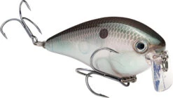Strike King KVD 2.5 Wake Bait Waking Crankbait -Fishing Sports Shop HCKVD2.5W 568