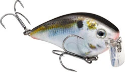 Strike King KVD 2.5 Wake Bait Waking Crankbait -Fishing Sports Shop HCKVD2.5W 699