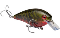 Strike King KVD 4.0 Magnum Shallow Squarebill Crankbait -Fishing Sports Shop HCKVDS4.0 468 KVD4.0Squarebill PhantomWatermelonRedCraw GlamRight