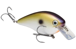 Strike King KVD 4.0 Magnum Shallow Squarebill Crankbait -Fishing Sports Shop HCKVDS4.0 469 KVD4.0Squarebill TNShad2 GlamRight