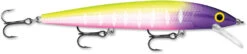 Rapala Husky Jerk 12 Jerkbait/Trolling Minnow 37 Rapala Husky Jerk 12 Jerkbait/Trolling Minnow -Fishing Sports Shop HJ12 14 MFT 30c50575 8d12 44fc 883c 4253fe262622