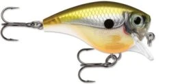 Rapala BX Brat 03 Square Bill Crankbait 24 Rapala BX Brat 03 Square Bill Crankbait -Fishing Sports Shop Haymaker 5f81fa1b 4aad 4211 b967 9373812eab6d