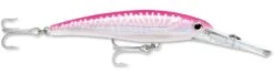 Rapala X-Rap Magnum 40 Big Game Slash Bait -Fishing Sports Shop Hot Pink UV b24b35dc 2fca 4a2a b250 4347bf61c445