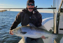 Nomad Design Inshore Spinning Rod 8 Nomad Design Inshore Spinning Rod -Fishing Sports Shop Inshore Spin