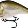 13 Fishing Jabber Jaw Hybrid Squarebill 1 13 Fishing Jabber Jaw Hybrid Squarebill -Fishing Sports Shop JJC60 23