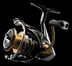 Daiwa Exceler LT Spinning Reel -Fishing Sports Shop JTKar0HY