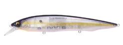 Megabass Kanata Jerkbait 31 Megabass Kanata Jerkbait -Fishing Sports Shop Kanata GP Megabass Sexy Shad