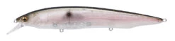 Megabass Kanata Jerkbait 37 Megabass Kanata Jerkbait -Fishing Sports Shop Kanata MB Gizzard