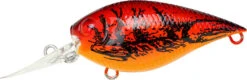 Lucky Craft LC 0.7 DR Deep Running Crankbait 12 Lucky Craft LC 0.7 DR Deep Running Crankbait -Fishing Sports Shop LC 0 7DR 137TOCR