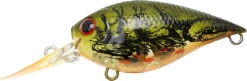Lucky Craft LC 0.7 DR Deep Running Crankbait 13 Lucky Craft LC 0.7 DR Deep Running Crankbait -Fishing Sports Shop LC 0 7DR 188TOGC