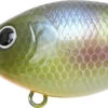 Lucky Craft LC 0.7 DR Deep Running Crankbait 2 Lucky Craft LC 0.7 DR Deep Running Crankbait -Fishing Sports Shop LC 0 7DR 269BEGL