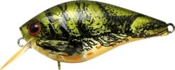 Lucky Craft LC 1.5 Deep Rattle Sound (DRS) Shallow Squarebill Crankbait 14 Lucky Craft LC 1.5 Deep Rattle Sound (DRS) Shallow Squarebill Crankbait -Fishing Sports Shop LC 1 5DRS 188TOGC