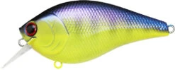 Lucky Craft LC 2.5 Shallow Squarebill Crankbait 40 Lucky Craft LC 2.5 Shallow Squarebill Crankbait -Fishing Sports Shop LC 2 5 136TOGL