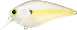 Lucky Craft LC 2.5 Shallow Squarebill Crankbait 25 Lucky Craft LC 2.5 Shallow Squarebill Crankbait -Fishing Sports Shop LC 2 5 250CRSD