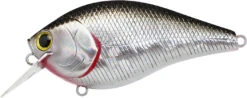 Lucky Craft LC 2.5 Shallow Squarebill Crankbait 24 Lucky Craft LC 2.5 Shallow Squarebill Crankbait -Fishing Sports Shop LC 2 5 419BPGSN