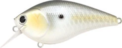 Lucky Craft LC 2.5 Shallow Squarebill Crankbait 32 Lucky Craft LC 2.5 Shallow Squarebill Crankbait -Fishing Sports Shop LC 2 5 426GTFSD