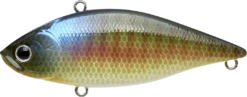 Lucky Craft LV-500 Max Lipless Crankbait -Fishing Sports Shop LV500 269BEGL 30406234 cfc0 43e9 a88d d70772399aba