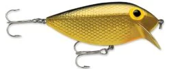 Storm Original Thinfin 08 Shallow-Medium Diving Crankbait 19 Storm Original Thinfin 08 Shallow-Medium Diving Crankbait -Fishing Sports Shop Metallic Gold Black bd0eb354 2ec7 4e02 9380 d461175e25e6