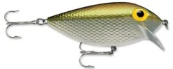 Storm Original Thinfin 06 Shallow-Medium Diving Crankbait -Fishing Sports Shop Metallic Silver Gold 0b9072b5 bce7 4081 b0d4 cfe99f82b181