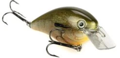 Strike King KVD Magnum Square Bill 8.0 Silent Crankbaits 32 Strike King KVD Magnum Square Bill 8.0 Silent Crankbaits -Fishing Sports Shop Orange Bream 8d82629c 742b 46f0 8fc2 0fe360b975f3