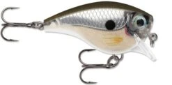 Rapala BX Brat 03 Square Bill Crankbait 27 Rapala BX Brat 03 Square Bill Crankbait -Fishing Sports Shop Pearl Grey Shiner 5b0e09d6 e933 4290 affb 9b2bc90816d5